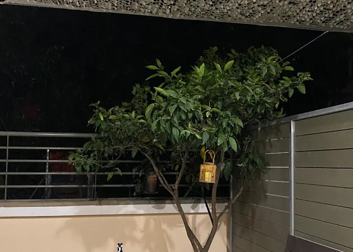 Tsoutsis Apartament